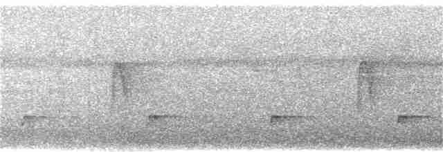 Ірличок сіроголовий - ML407619541