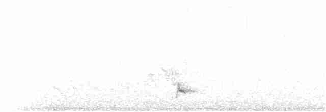Southern White-fringed Antwren - ML407698171