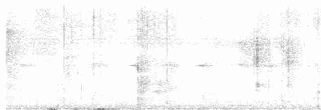 Тиран-інка буроголовий - ML407749991