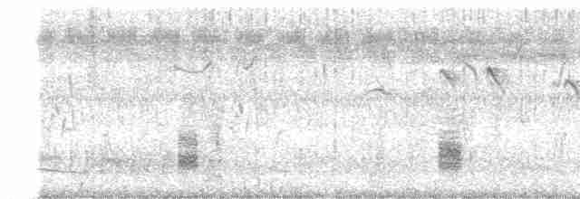 Clamorous Reed Warbler - ML407752191