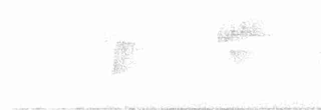 Rostbrust-Ameisendrossel - ML407811081