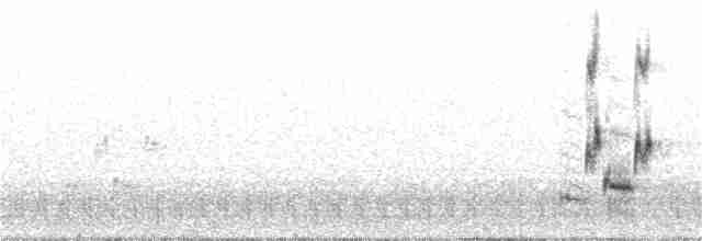 Iberian Gray Shrike - ML407840521