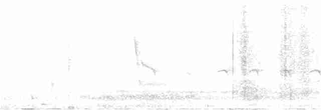 Güney Adası Eğerkuşu - ML407935841