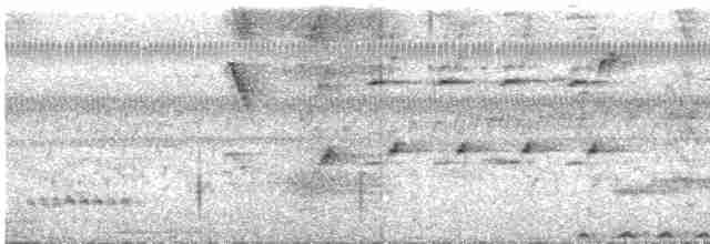 ML408062431 visualization