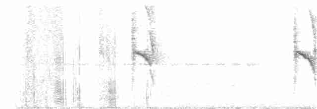 Rufous-tailed Antbird - ML408071871