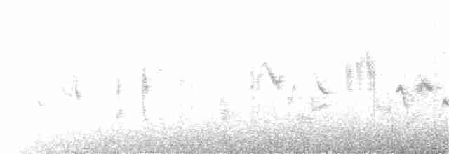 Кропив’янка біловуса - ML408079951