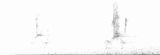 ťuhýk šedý (ssp. aucheri/buryi) - ML408082031