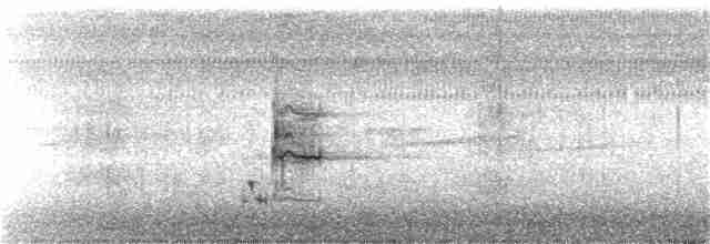 Loggerhead Shrike - ML408093071