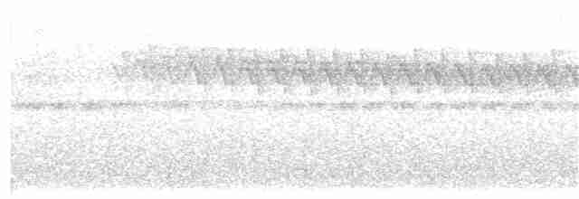 Gray-mantled Wren - ML408115091