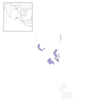 Distribution of the Nicobar Bulbul - Range Map