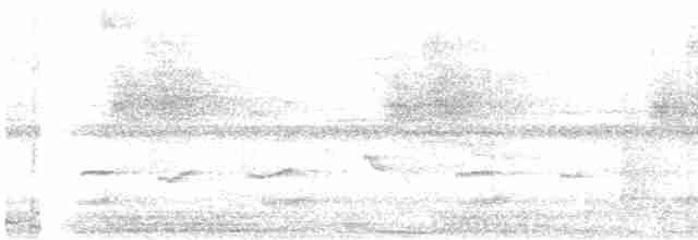 Gray-breasted Wood-Wren (bangsi) - ML408246011