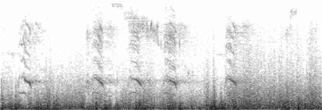 Bronz İnekkuşu [aeneus grubu] - ML408462801