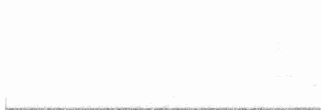 orel bělohlavý - ML408691101