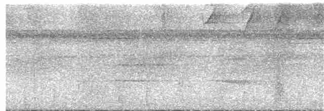 Tinamou de Berlepsch - ML409108271