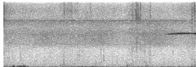 Tinamou de Berlepsch - ML409108281