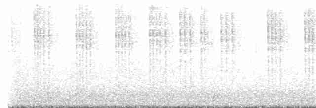 Ariane du Yucatan (cerviniventris/chalconota) - ML409121881