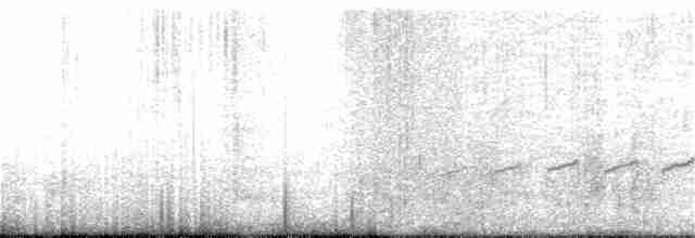 Perija Thistletail - ML409348771