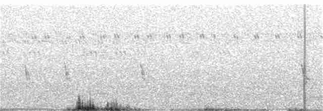 Büyük Mor Kırlangıç (hesperia) - ML409508431