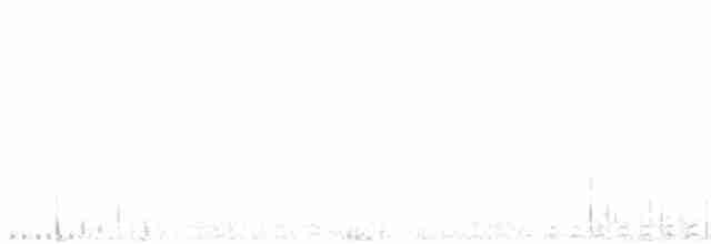 White-throated Nightjar - ML409687631