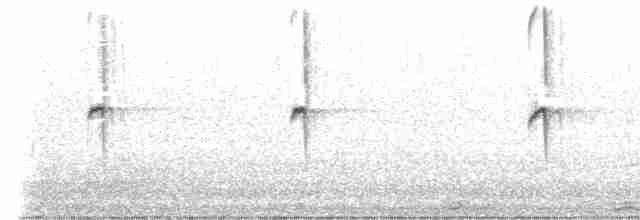 Colibri géant - ML409735151