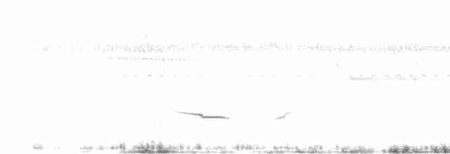 Tinamou boraquira - ML409743551