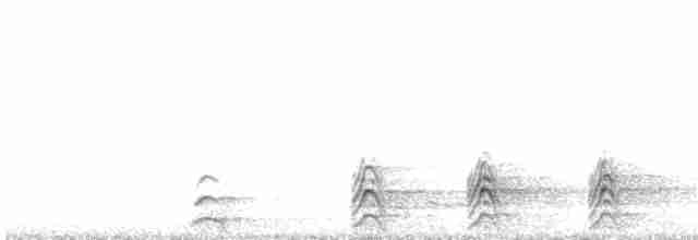 Сова плямиста - ML40993561