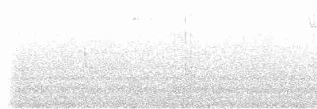 trnozobčík černohřbetý - ML409999341