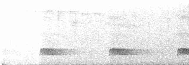 Tinamou à tête rousse - ML410088141