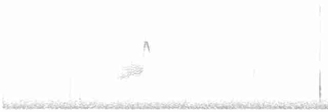 Iberian Gray Shrike - ML410149501