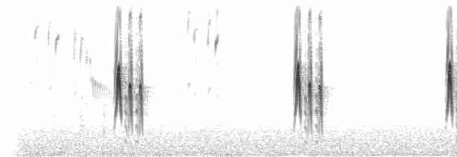 Тиранчик-довгохвіст білогорлий - ML410151331