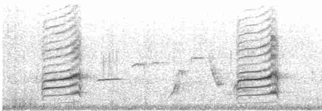 Black-billed Magpie - ML410202271