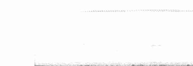 Gri Başlı Karıncabülbülü - ML410239991
