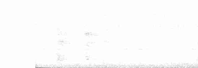 Kır Başlı Yedikardeş - ML410240051