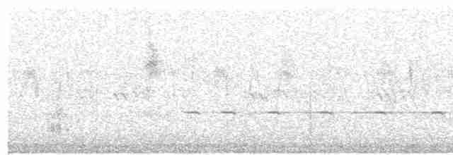 Benekli Notura Tinamusu - ML410315961