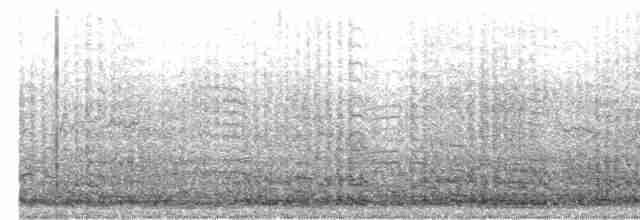 jeřáb kanadský (ssp. tabida/rowani) - ML410414691