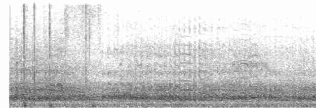 jeřáb kanadský (ssp. tabida/rowani) - ML410414701