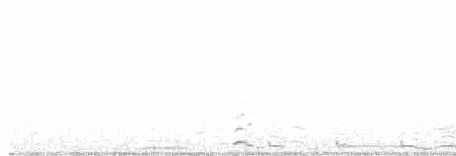 Cygne siffleur (columbianus) - ML410414921