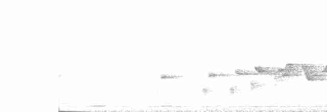 Певчая сорокопутница - ML410483711