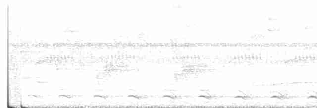 Slaty-tailed Trogon - ML410515851