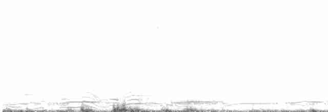Лебідь чорнодзьобий (підвид columbianus) - ML410588231