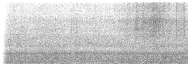 Синебородая горная нимфа - ML410591851