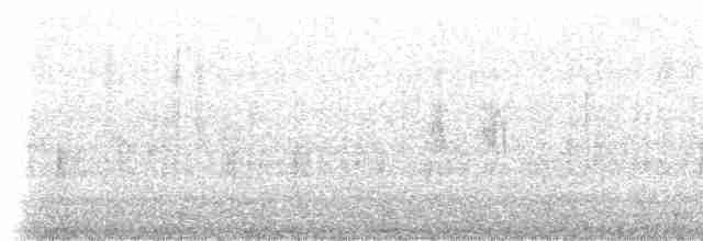 Синебородая горная нимфа - ML410592051