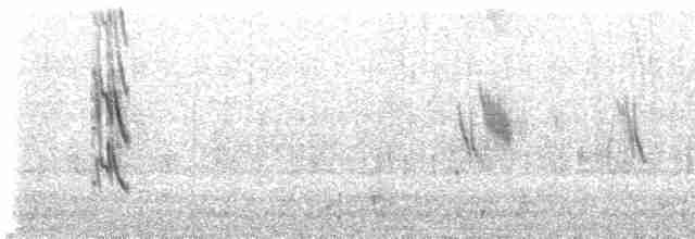 Boz Karınlı Kırlangıç - ML410598501
