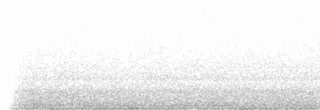 trnozobčík černohřbetý - ML410602391