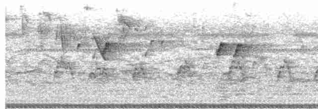 Ganso del Orinoco - ML410618161