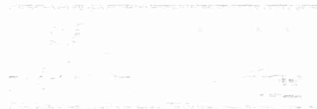 holub bledočelý - ML410626041