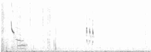 Plectrophane lapon - ML410696521