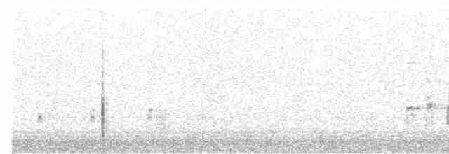 orel bělohlavý - ML410696921