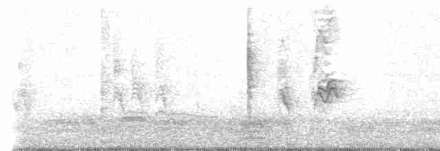 Blyth's Reed Warbler - ML410730941