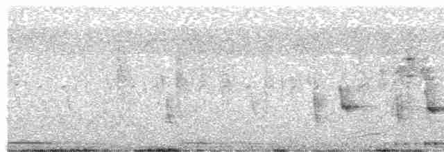 Boyalı Horoz Kekliği - ML410814991